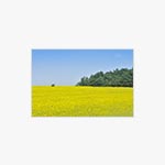 사진인화 상품 리스트
